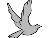 Disegno Colomba della pace in volo pitturato su beatrice4   