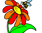 Disegno Margherita con ape  pitturato su ilaria