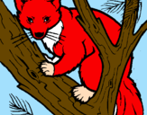 Disegno Martora europea su un albero  pitturato su scoiatolo rosso