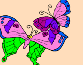 Disegno Farfalle pitturato su allegra 5 anni