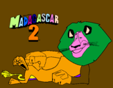 Disegno Madagascar 2 Alex pitturato su francesco pio 