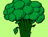 Disegno Broccoli  pitturato su Gaia
