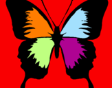 Disegno Farfalla con le ali nere pitturato su alice anna