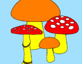 Disegno Funghi pitturato su io