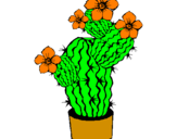 Disegno Fiori di cactus  pitturato su ZLATAN IBRAIMOVIC
