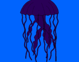 Disegno Medusa  pitturato su chiara.c