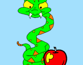 Disegno Serpente con la mela  pitturato su massimino