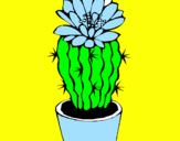 Disegno Cactus fiorito  pitturato su sofia