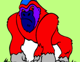 Disegno Gorilla pitturato su edward