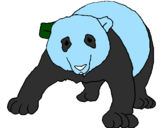 Disegno Orso panda  pitturato su fili2004