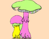 Disegno Funghi pitturato su fungo5