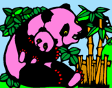 Disegno Mamma panda  pitturato su NICOLE