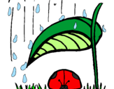 Disegno Coccinella protetta dalla pioggia  pitturato su gatto