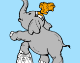 Disegno Elefante  pitturato su noemi