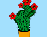Disegno Fiori di cactus  pitturato su ppp