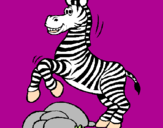 Disegno Zebra che salta sulle pietre  pitturato su nicole
