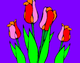 Disegno Tulipani  pitturato su tracy