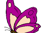 Disegno Farfalla  pitturato su farfallina