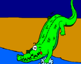 Disegno Alligatore che entra nell'acqua  pitturato su tracy