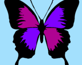 Disegno Farfalla con le ali nere pitturato su CAMPANELLINA
