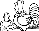 Disegno Gallo e gallina  pitturato su u