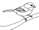 Disegno Uccellino  pitturato su klaus