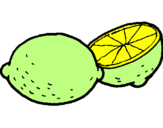 Disegno limone  pitturato su lucio
