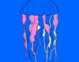 Disegno Medusa  pitturato su  MATTIA