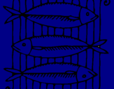 Disegno Pesce pitturato su MARCELLO