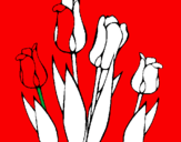 Disegno Tulipani  pitturato su francesco