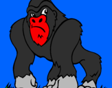 Disegno Gorilla pitturato su carmen