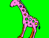 Disegno Giraffa  pitturato su la mia Annina