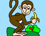Disegno Scimmietta  pitturato su una scimia
