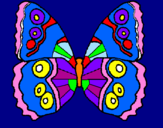 Disegno Farfalla  pitturato su maya bibi