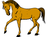Disegno Cavallo con la zampa alzata  pitturato su sara