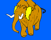 Disegno Mammuth II pitturato su marco mammut