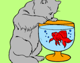 Disegno Gatto che osserva il pesciolino  pitturato su miii