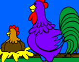 Disegno Gallo e gallina  pitturato su CAMILLA