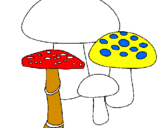 Disegno Funghi pitturato su sarasarsara