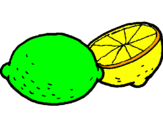Disegno limone  pitturato su davide