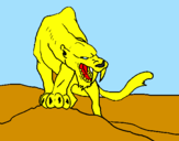 Disegno Tigre con affilati canini  pitturato su antolas2002