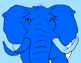 Disegno Elefante africano pitturato su il coomerone