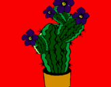 Disegno Fiori di cactus  pitturato su alice