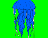 Disegno Medusa  pitturato su Francesco