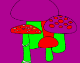 Disegno Funghi pitturato su stella