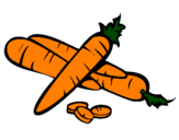 Disegno Carote II pitturato su carota