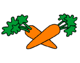 Disegno carote  pitturato su eliana