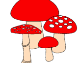 Disegno Funghi pitturato su Lorenzo