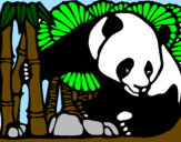 Disegno Orso panda con bambù  pitturato su Raffaele