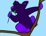Disegno Koala  pitturato su giacomo